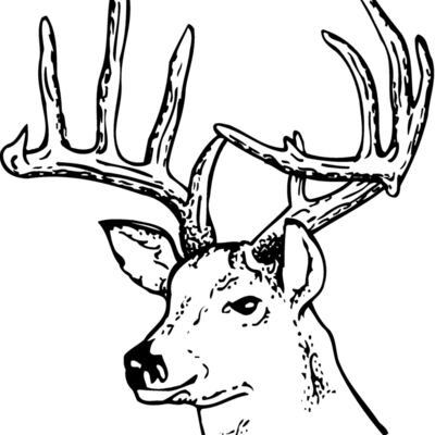 DEER014 Thumbnail