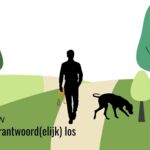 Verantwoordelijklos Thumbnail